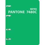 Тетради на кольцах А5 120л.Pantone line. Color '21. No. 8