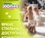 Трусики-подгузники  JOONIES Comfort XL (12-17 кг.) 38 шт./3