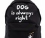 90060 Рюкзак молодежный Dog is always right (собака),  материал полиэстер, размер: 39*30*11 см