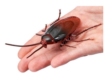 RoboAlive Робо-Таракан