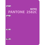 Тетради на кольцах А5 120л.Pantone line. Color '21. No. 7