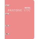 Тетради на кольцах А5 120л.Pantone line. Color '21. No. 6